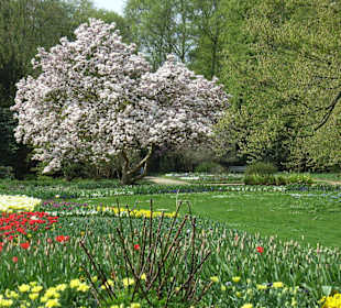 Frühling im botanischen Garten Gütersloh