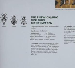 Naturinfopfad Weggental