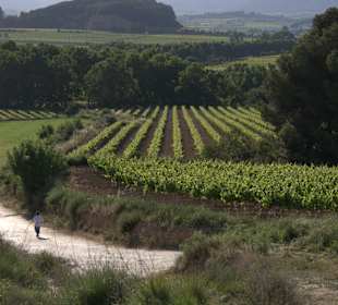 Wandern Castellet