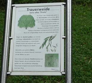 Baumlehrpfad Glacis Park