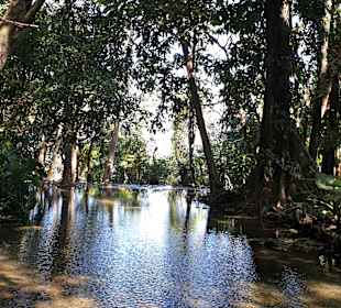Kuang Si Butterfly Park