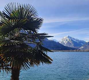 Walensee 