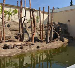 Zoo