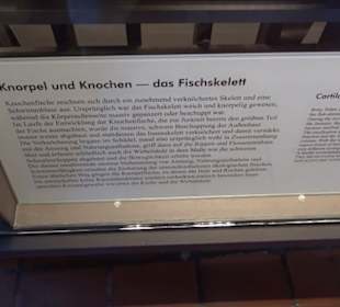 Jura-Museum