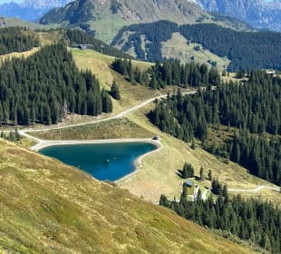 Ausblick