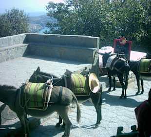 Mit dem Esel auf die Akropolis von Lindos