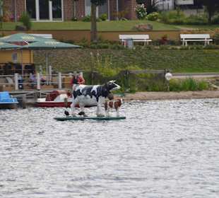 Bootstour Fünf Seenfahrt Plön