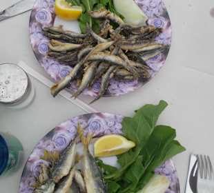 Hamsi