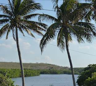 Mi Cayito, Süßwassersee