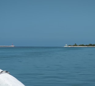 Wandmalereien...im Golf von Mexiko