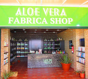 Aloe Vera Infocenter Fuerteventura - Morro Jable