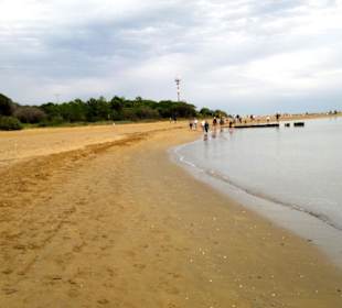 Der ganz große Bereich