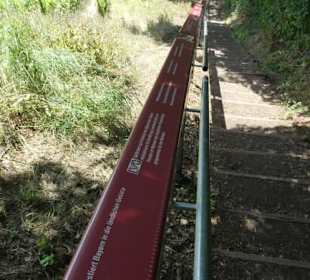 Terroir f – magische Orte des Frankenweins 