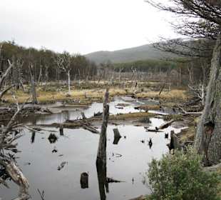 Bizarre Landschaftsformen