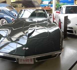 Autosammlung Steim