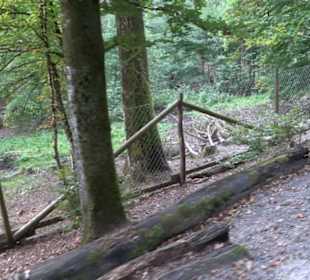 Altwege Rundwanderung Bebenhausen