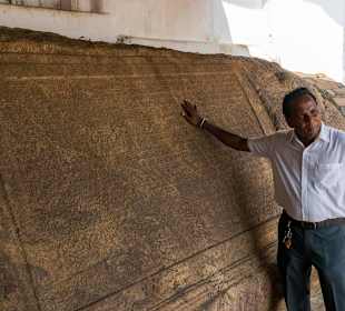 Sammy im Höhlentempel Dambulla