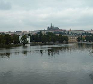 Inseln in der Moldau