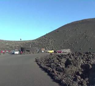 Busfahrt durch den Nationalpark