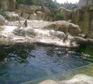 Зоопарк в барселоне