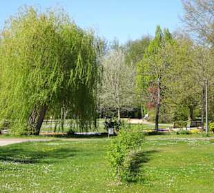 Impressionen vom Rundgang durch den Kurpark