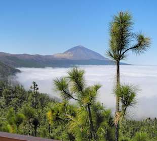 Teide vom Mirador las Cumbres