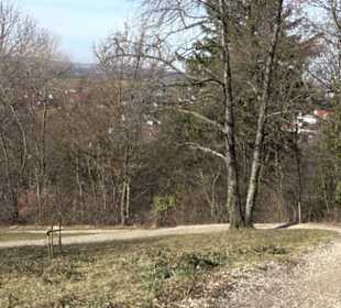Weinerlebnisweg