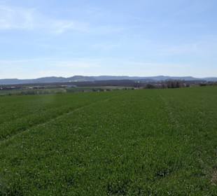 Premiumwanderweg "hochgeblickt"