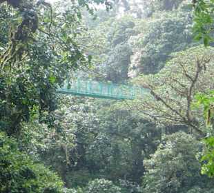 Sky-Walk Monteverde