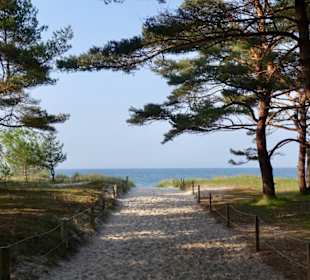 Strand Trassenheide