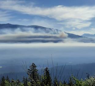 ....traumhafter Morgennebel.