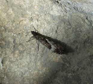 Klettergebiet Mazet-Plage