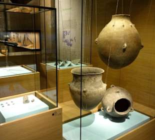 Exponate des Museums