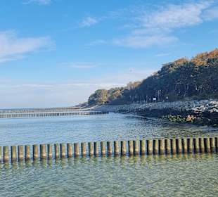 Bunen zum Küstenschutz