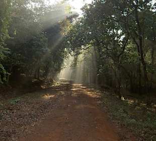 Cotigao Naturreservat