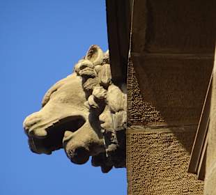 Stadtrundgang Mannheim