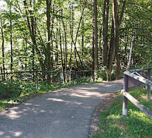 Wildpark Osterzgebirge