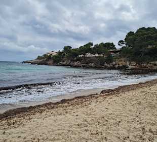 Strand