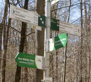 Wandereindrücke: von Handthal nach Ebrach