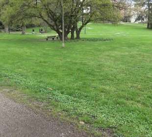 Bürgerpark Offenburg