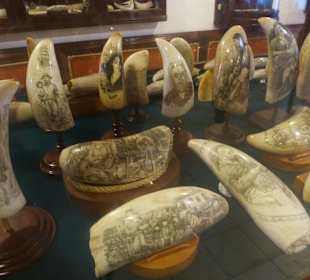 Scrimshaw Museum