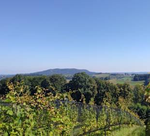 Wildoner Berg