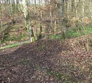 Gomaringer Rundweg - Zu den Giganten im Wald