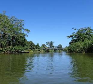 Kanäle von Tortuguero 