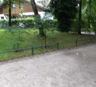 Kurpark Herrsching am Ammersee