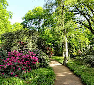 Spaziergang durch den Rhododendronpark im Mai