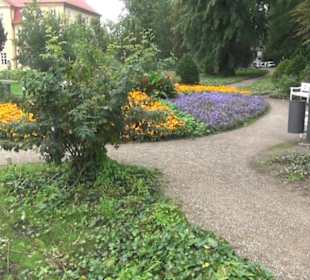 Schlossgarten