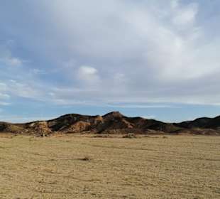 Tolle Infos zur Natur vom guide und Beduinen Onke,