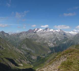 Gipfel der Seefeldspitze (2715m)
