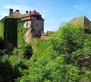 Historischer Rundweg La Petite Pierre